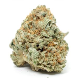 Gorilla Glue #4 Strain -craft-aaaa-single-bud