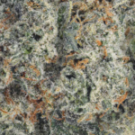 Green Crack strain AAAA premium cannabis flower Canada dense frosty buds high THC