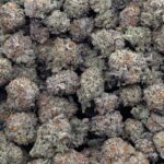 Gorilla Glue #5 Popcorn buds