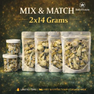 Mushroom Mix & Match