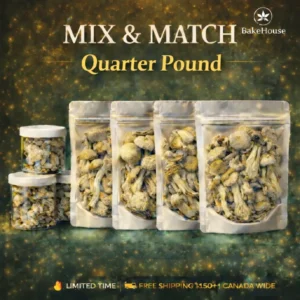 Mushroom Mix & Match
